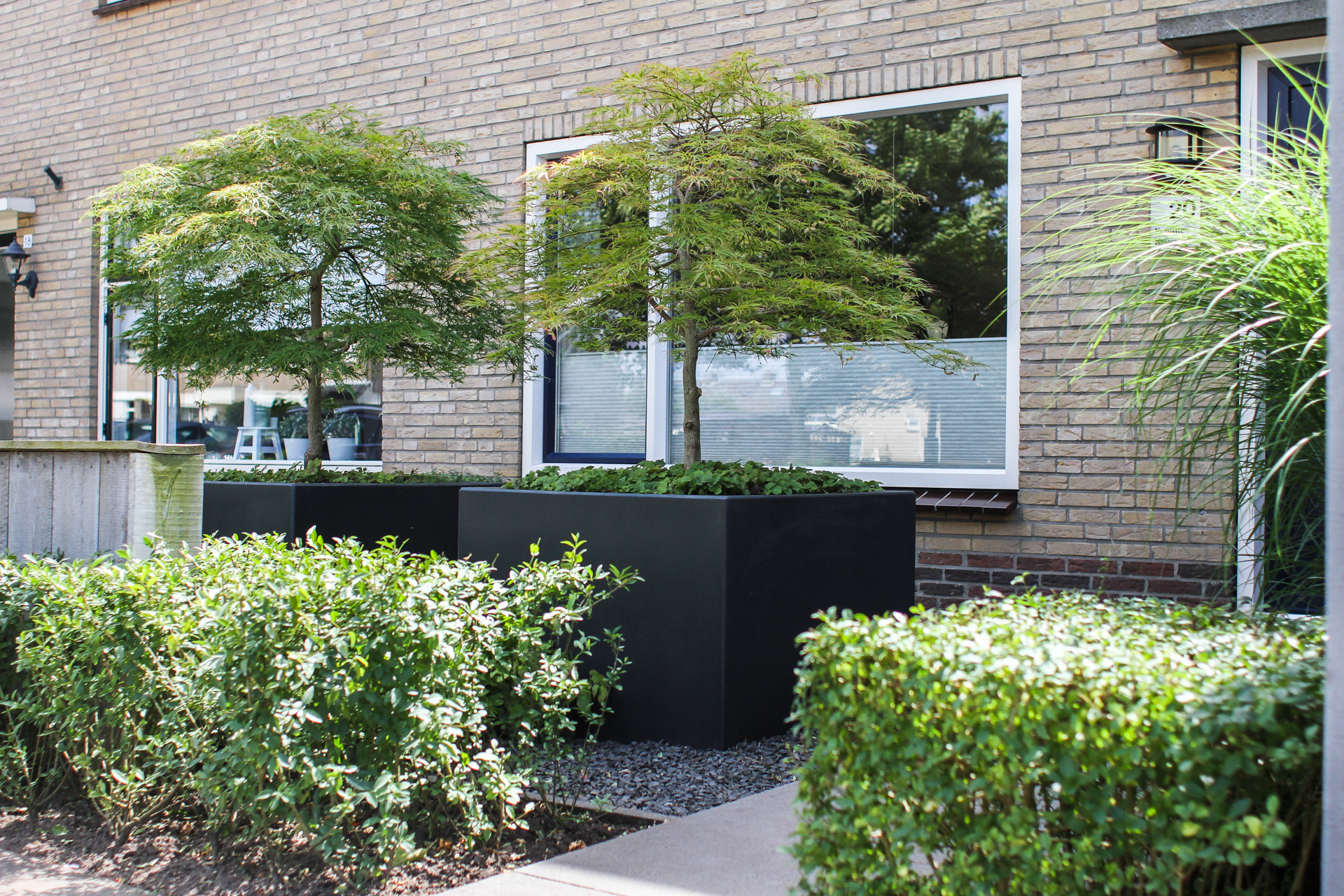 Moderne voor- en achtertuin in IJsselmuiden - Outlook Groenprojecten